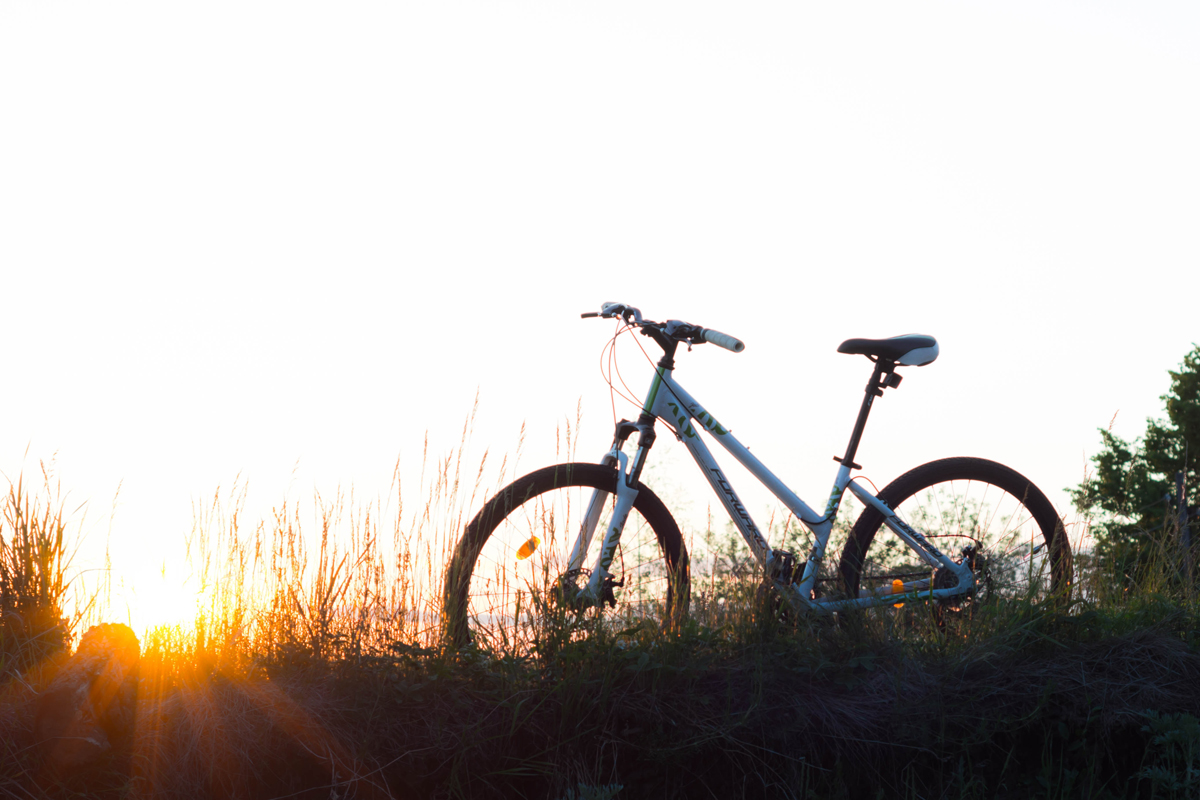 Bikes